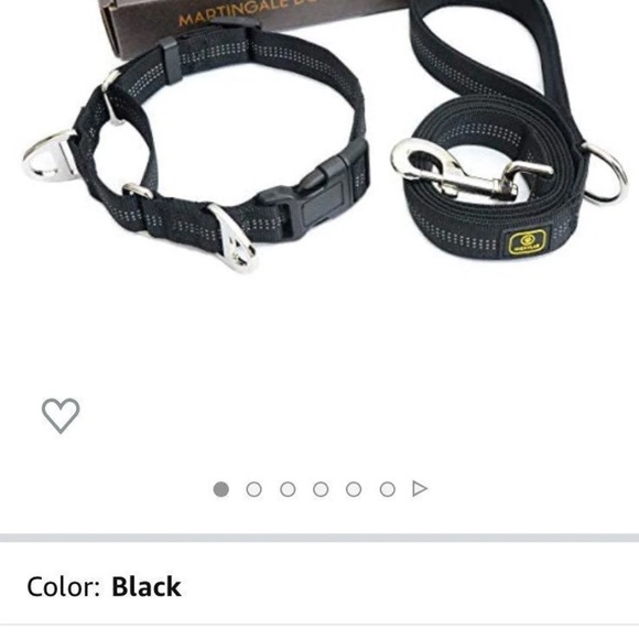 Martindale Reflective Dog Collar and Leash - Picture 5 of 9